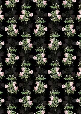 Pink Baby Roses Pattern