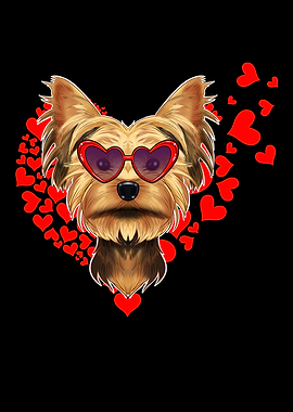 Yorkshire Terrier Lover I