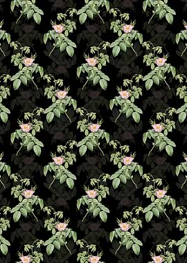 Floral Apple Rose Pattern