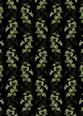 Floral Black Birch Pattern