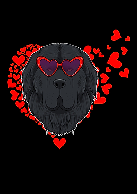 Newfoundland Lover I Dog