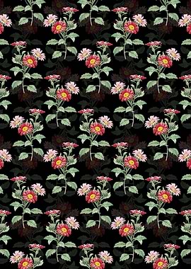 Floral Red Aster Pattern