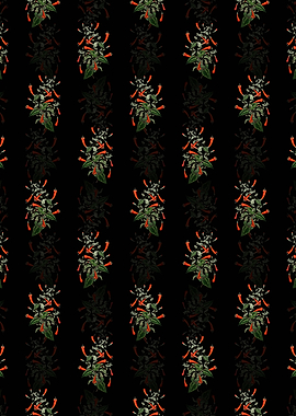 Heart Leaved Manettia