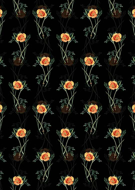 Black Saffron Eschscholzia