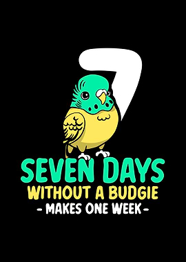 Budgie Budgeriga