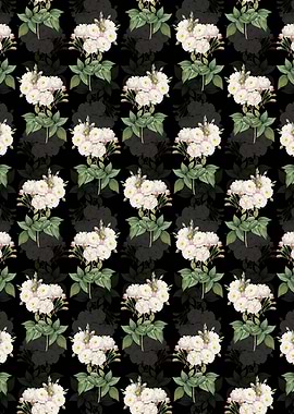 Noisette Roses Pattern