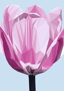 Violet Tulip Lowpoly