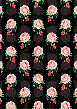 Black Rhododendron Flower