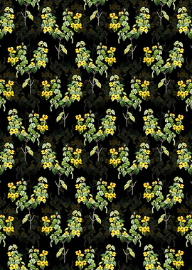 Floral Platilobium Pattern