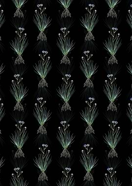 Blue Corn Lily Pattern