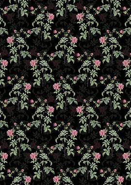 Cinnamon Rose Pattern