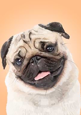 Pug Dog