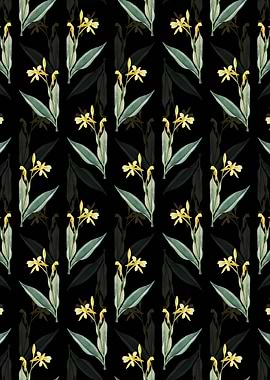 Bandana of the Everglades