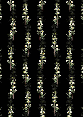 Scotch Rose Bloom Pattern