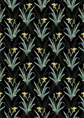 Hungarian Iris Pattern