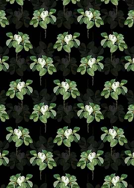 Magnolia Elegans Pattern