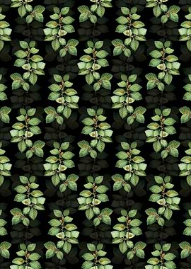 European Beech Pattern