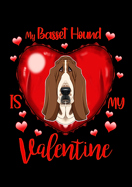 Basset Hound