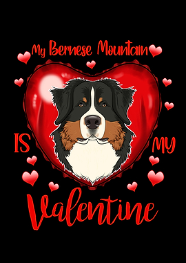 Bernese Mountain Dog