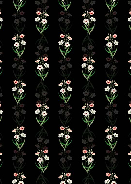 Dark Eyed Viscaria Branch