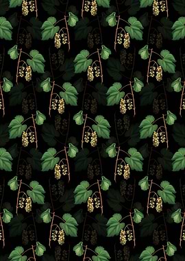 Friulli Grape Pattern