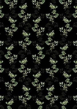 Fontanesia Phillyreoides