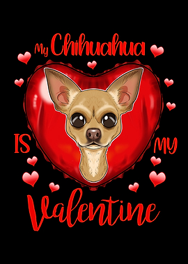 Chihuahua Valentines Day