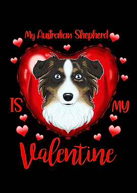 Australian Shepherd