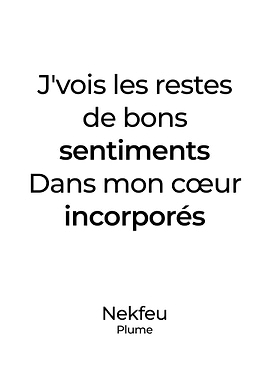 Nekfeu Plume