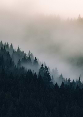 Issaquah Washington State