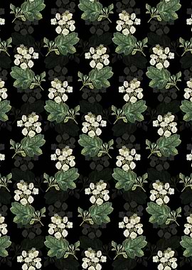 Oakleaf Hydrangea Pattern