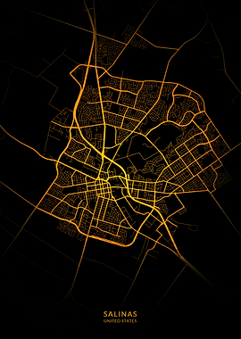 Salinas City Map Gold
