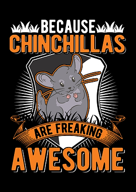 Chinchilla Lover