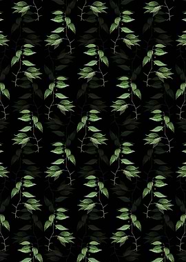 Black European Nettle Tree