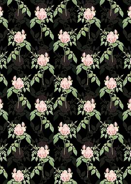 Fragrant Rosebush Pattern