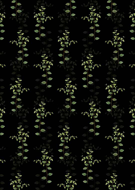 Christs Thorn Pattern