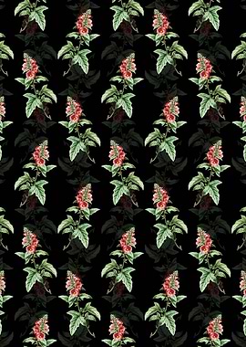 Floral Tree Mallow Pattern