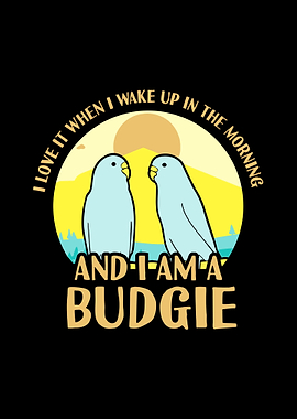 Budgie Budgeriga