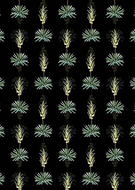Black Adams Needle Pattern