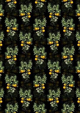 Bitter Orange Pattern