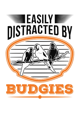 Bugdie Parakeet Cockatiel