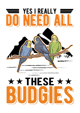 Bugdie Parakeet Cockatiel