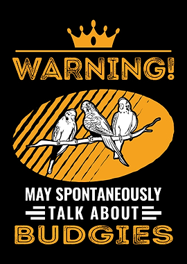 Bugdie Parakeet Cockatiel