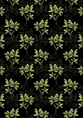 Northern Bayberry Pattern