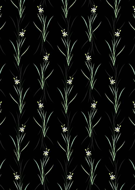 Black Ixia Anemonae Flora