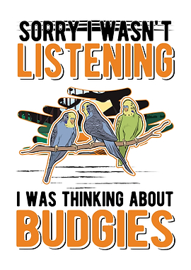 Budgie Gift Parakeet