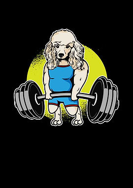 Poodle Weightlifting I