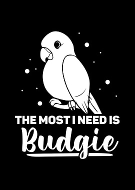 Budgie Budgeriga