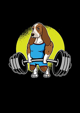 Basset Hound Weightlifting
