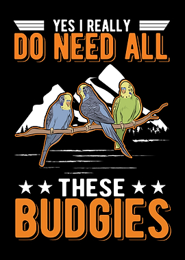 Bugdie Parakeet Cockatiel